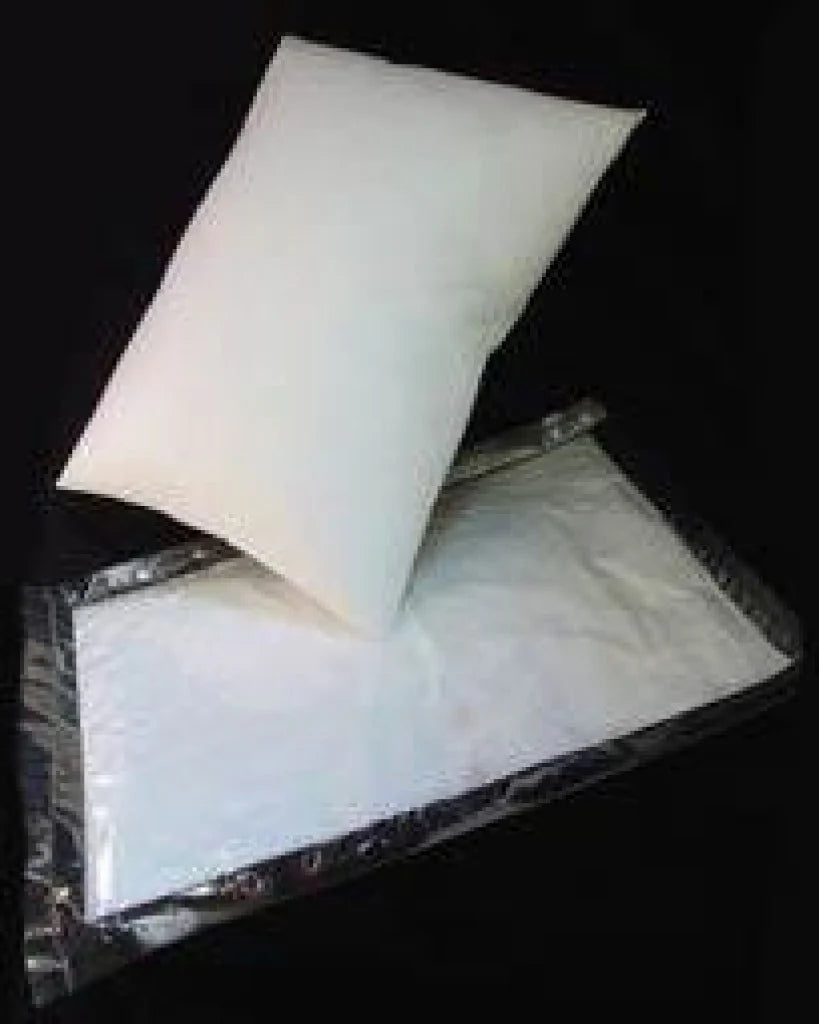 Filled Pillows Pack of 2
