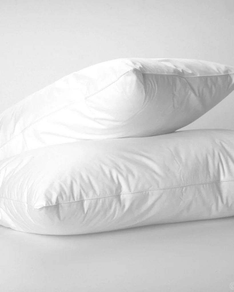 Filled Pillows Pack of 2
