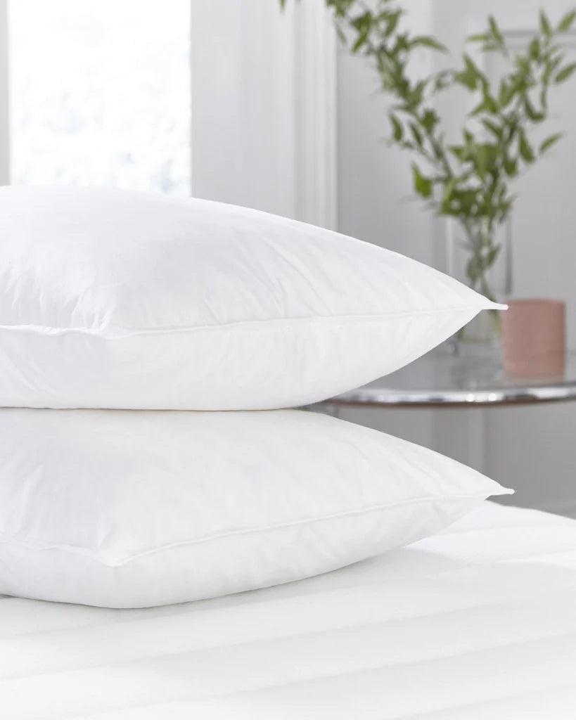 Filled Pillows Pack of 2